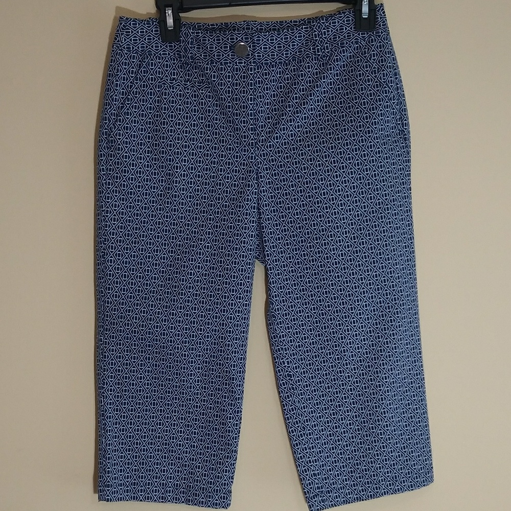 Ann Taylor Capri pant